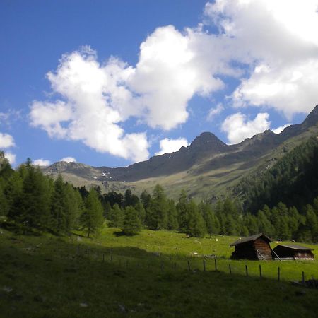 Assling Bed & Breakfast Dolomiti Bey Haus Pinter المظهر الخارجي الصورة