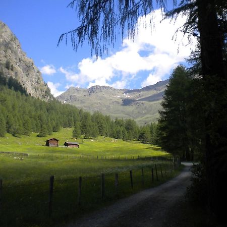 Assling Bed & Breakfast Dolomiti Bey Haus Pinter المظهر الخارجي الصورة