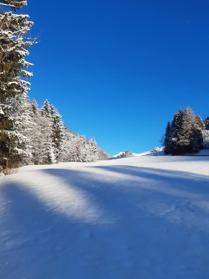 Assling Bed & Breakfast Dolomiti Bey Haus Pinter المظهر الخارجي الصورة
