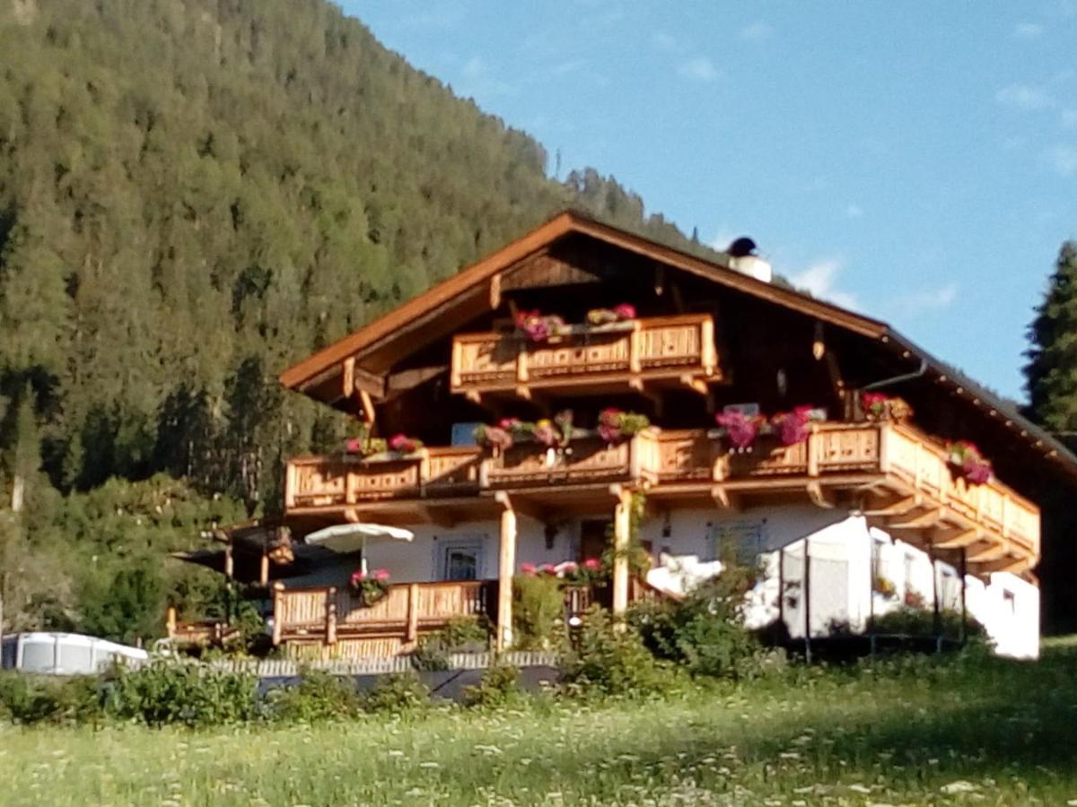 Assling Bed & Breakfast Dolomiti Bey Haus Pinter المظهر الخارجي الصورة