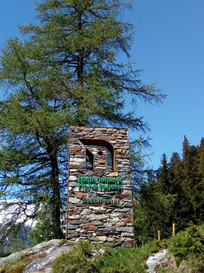 Assling Bed & Breakfast Dolomiti Bey Haus Pinter المظهر الخارجي الصورة