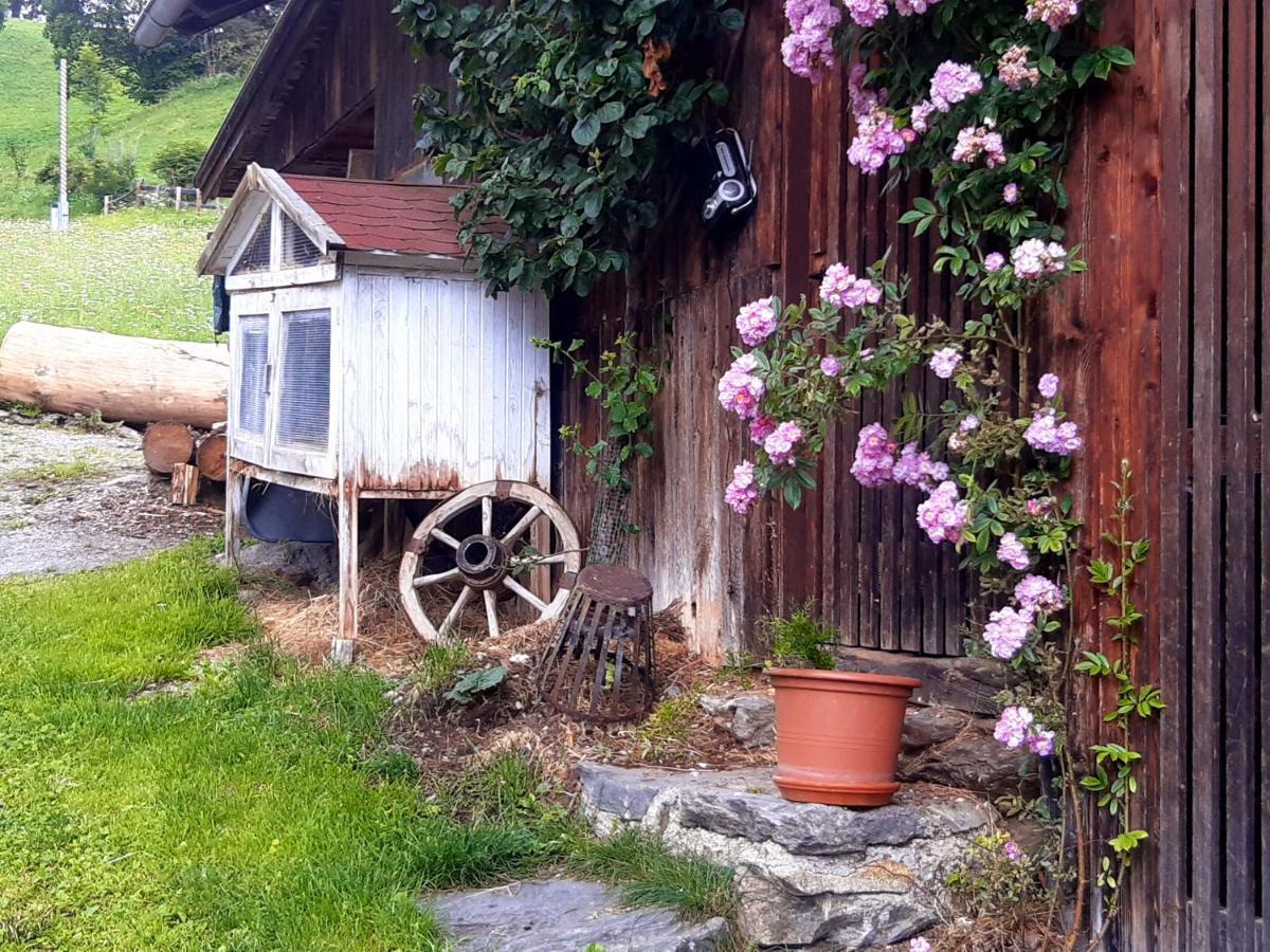 Assling Bed & Breakfast Dolomiti Bey Haus Pinter المظهر الخارجي الصورة