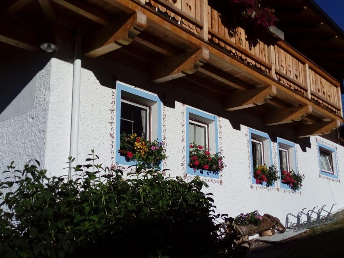Assling Bed & Breakfast Dolomiti Bey Haus Pinter المظهر الخارجي الصورة