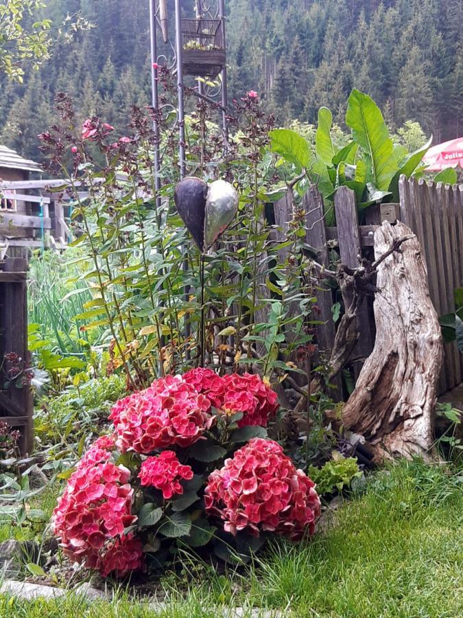 Assling Bed & Breakfast Dolomiti Bey Haus Pinter المظهر الخارجي الصورة