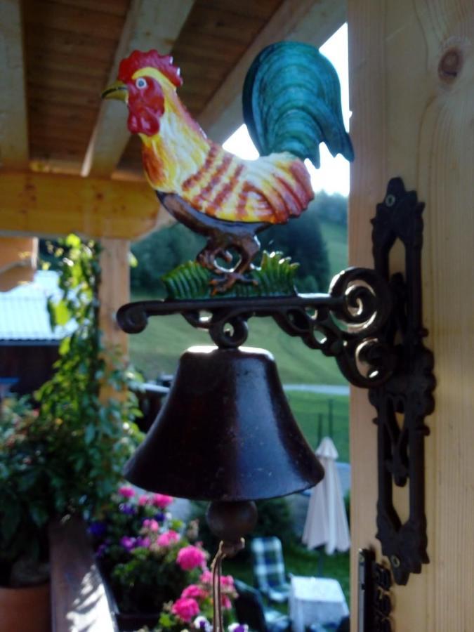 Assling Bed & Breakfast Dolomiti Bey Haus Pinter المظهر الخارجي الصورة