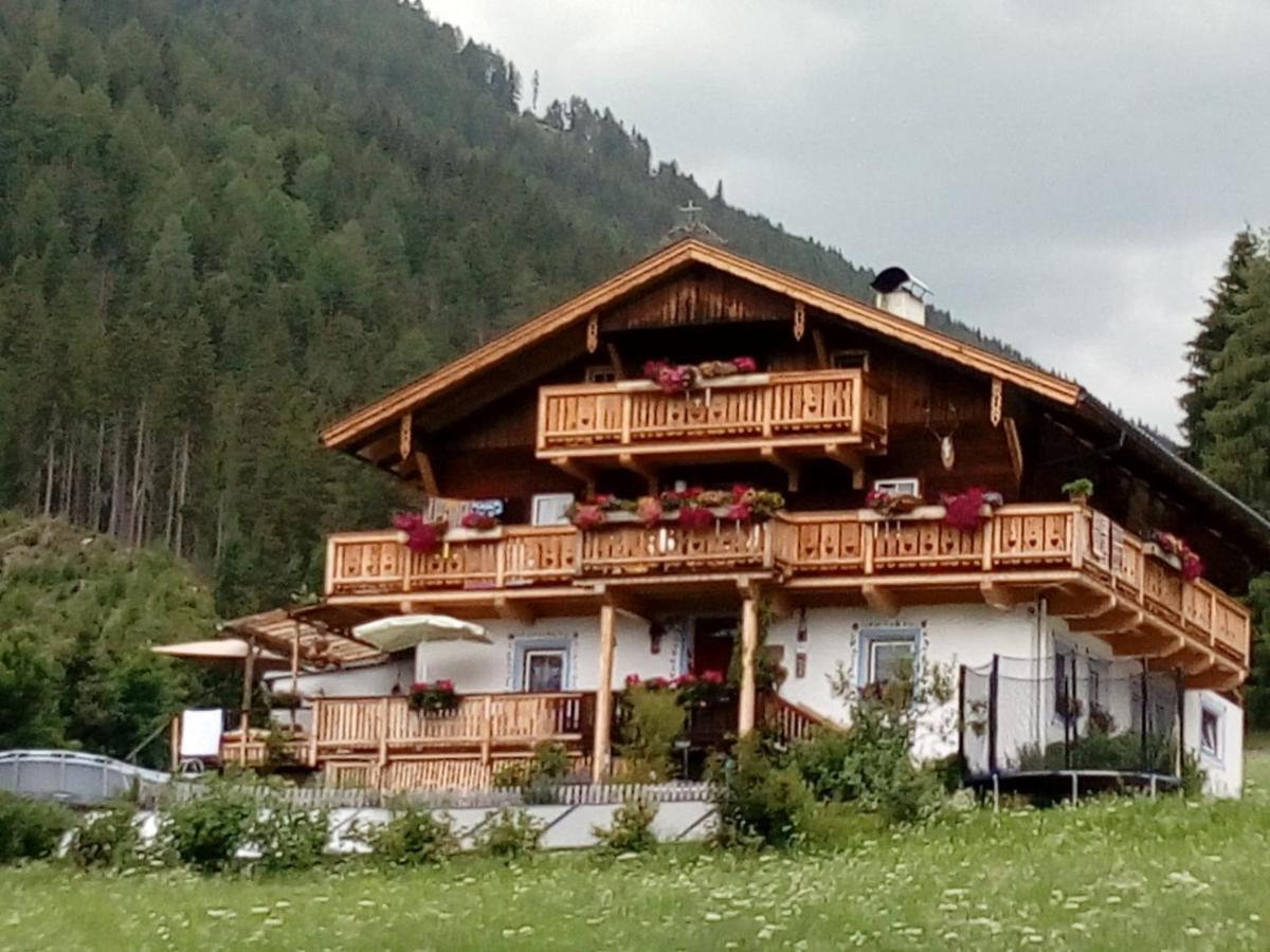 Assling Bed & Breakfast Dolomiti Bey Haus Pinter المظهر الخارجي الصورة