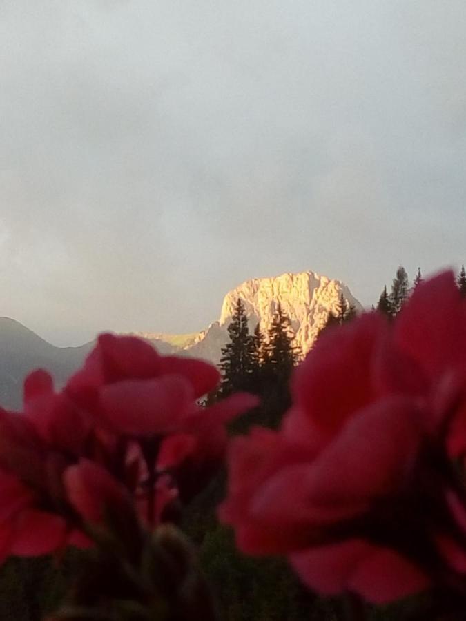 Assling Bed & Breakfast Dolomiti Bey Haus Pinter المظهر الخارجي الصورة