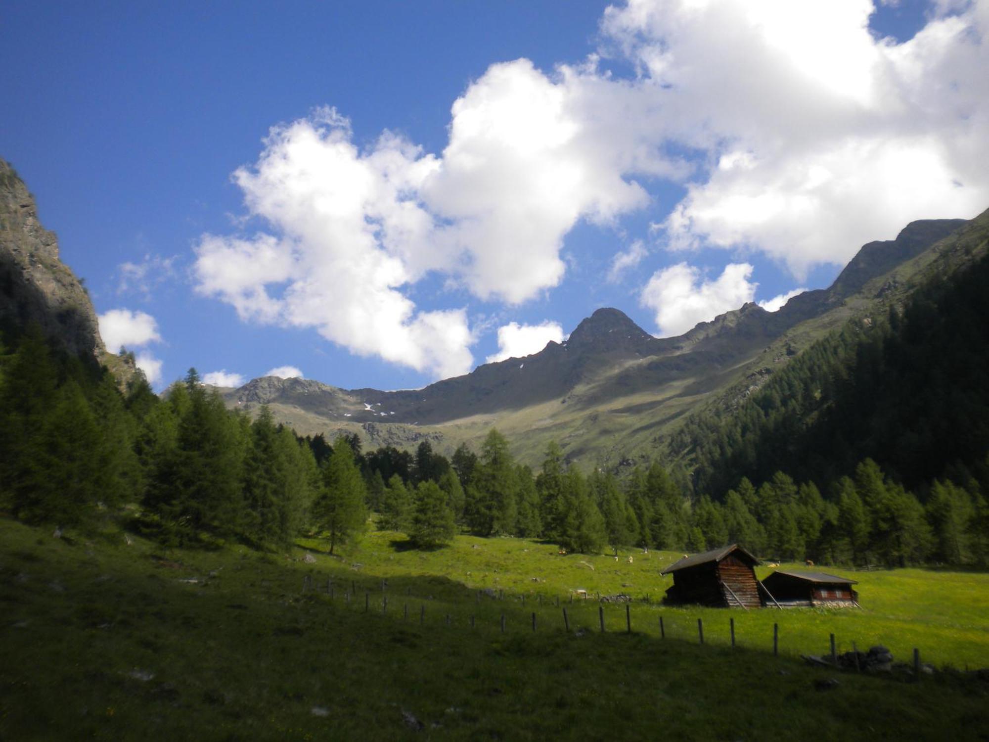 Assling Bed & Breakfast Dolomiti Bey Haus Pinter المظهر الخارجي الصورة