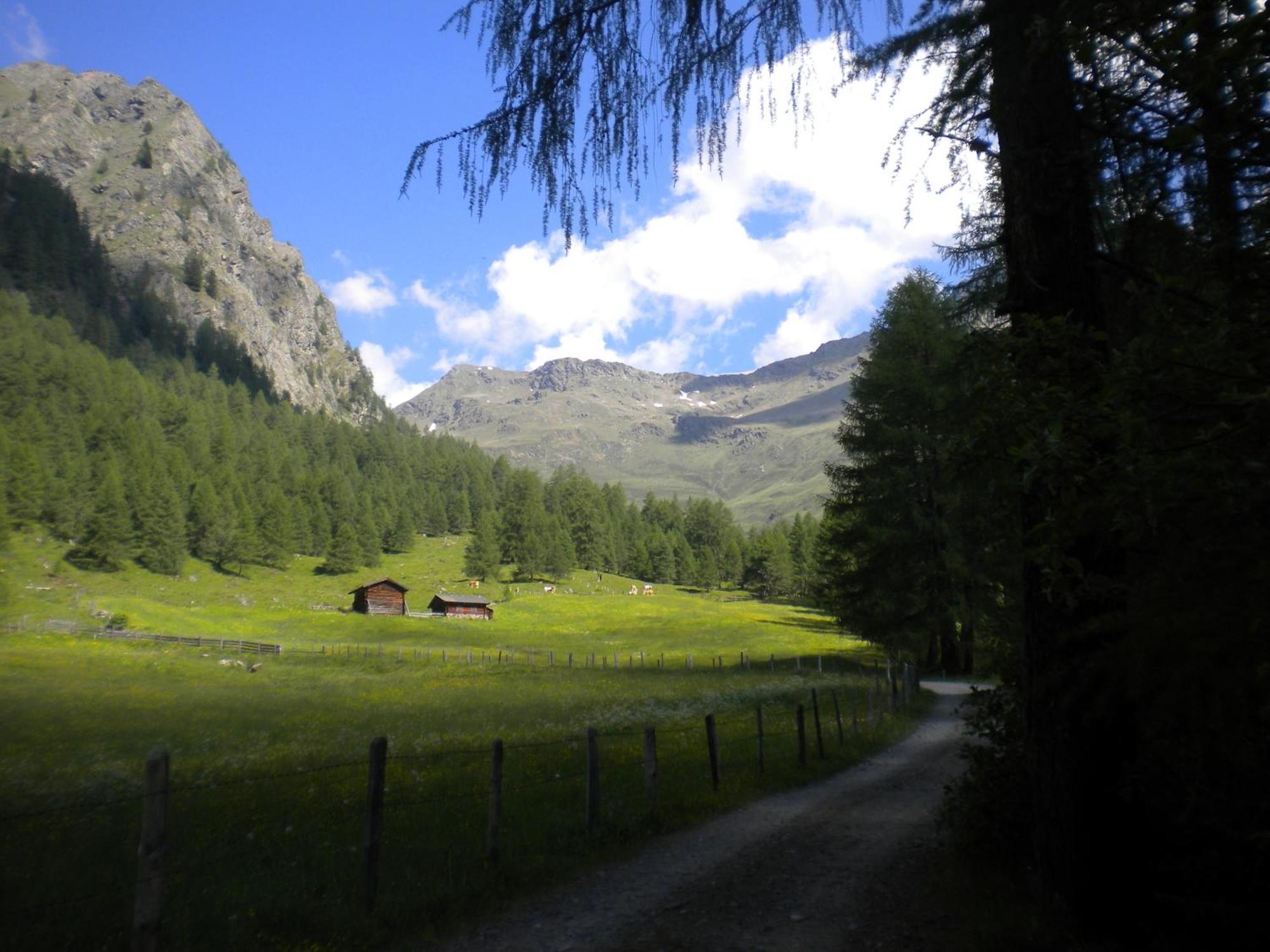 Assling Bed & Breakfast Dolomiti Bey Haus Pinter المظهر الخارجي الصورة