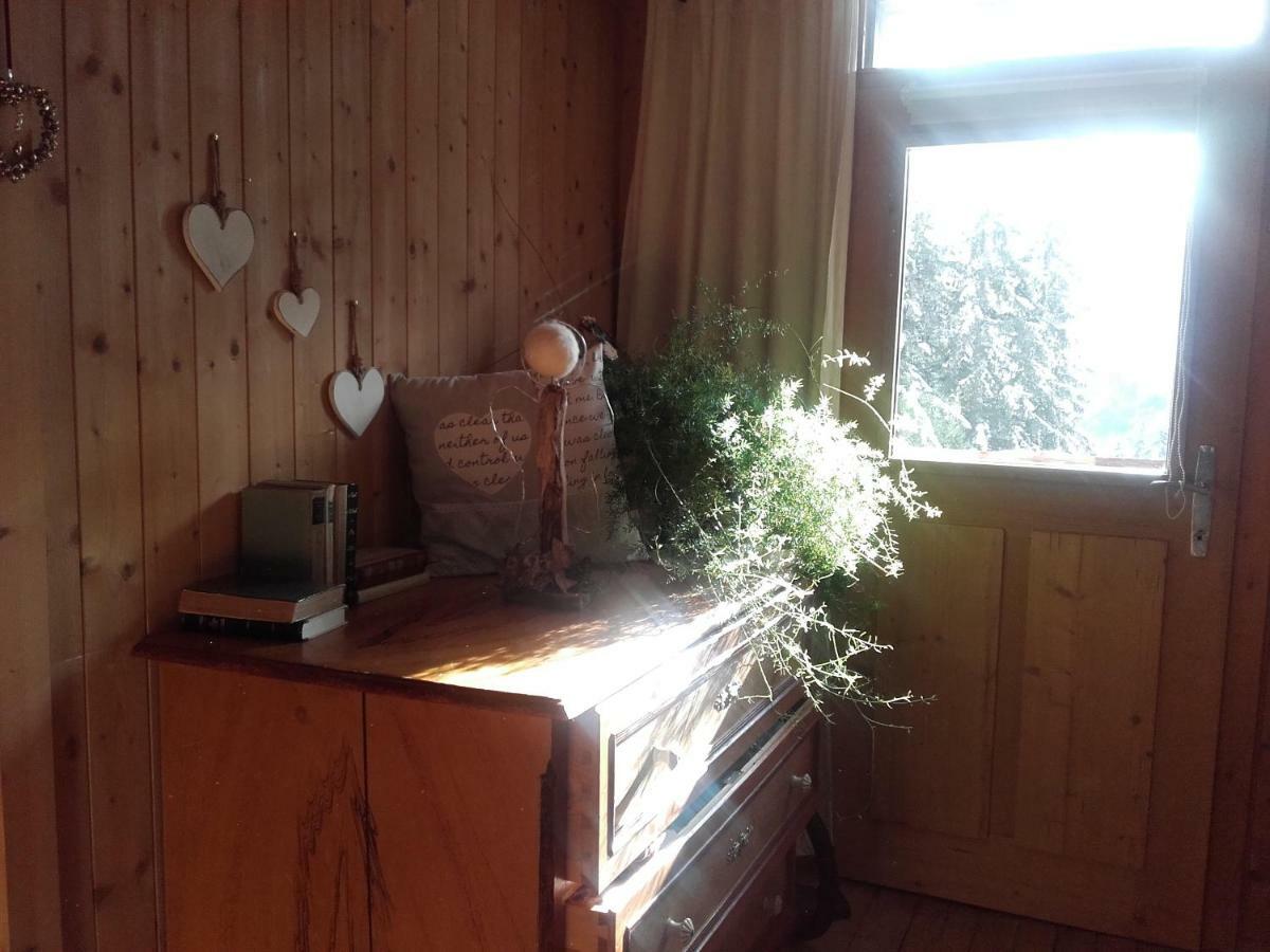Assling Bed & Breakfast Dolomiti Bey Haus Pinter المظهر الخارجي الصورة