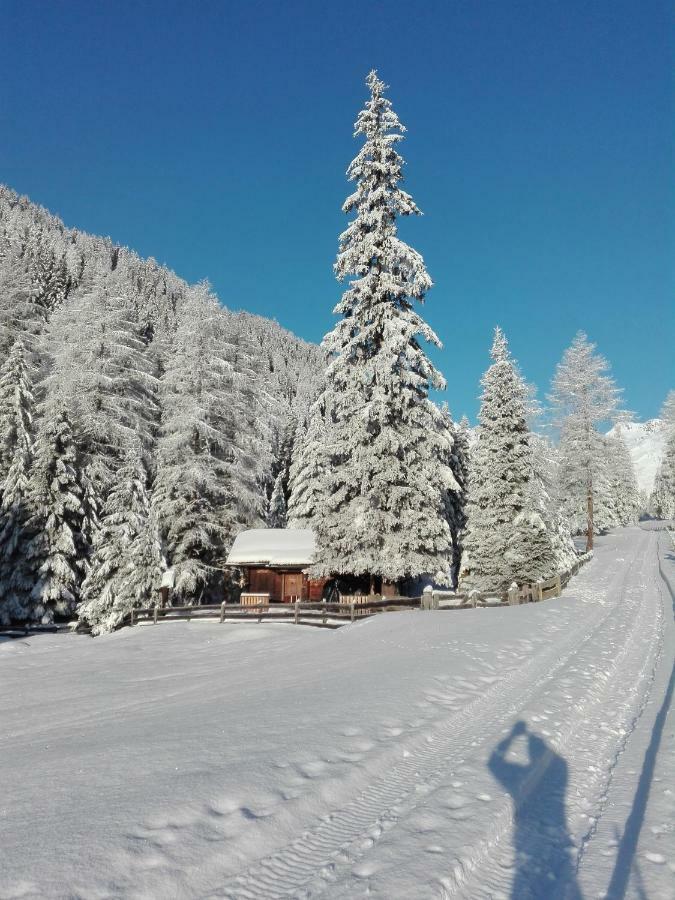 Assling Bed & Breakfast Dolomiti Bey Haus Pinter المظهر الخارجي الصورة