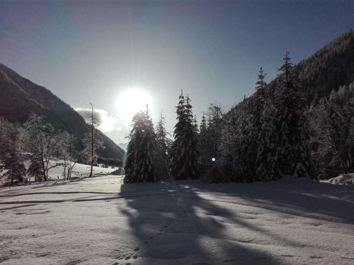 Assling Bed & Breakfast Dolomiti Bey Haus Pinter المظهر الخارجي الصورة