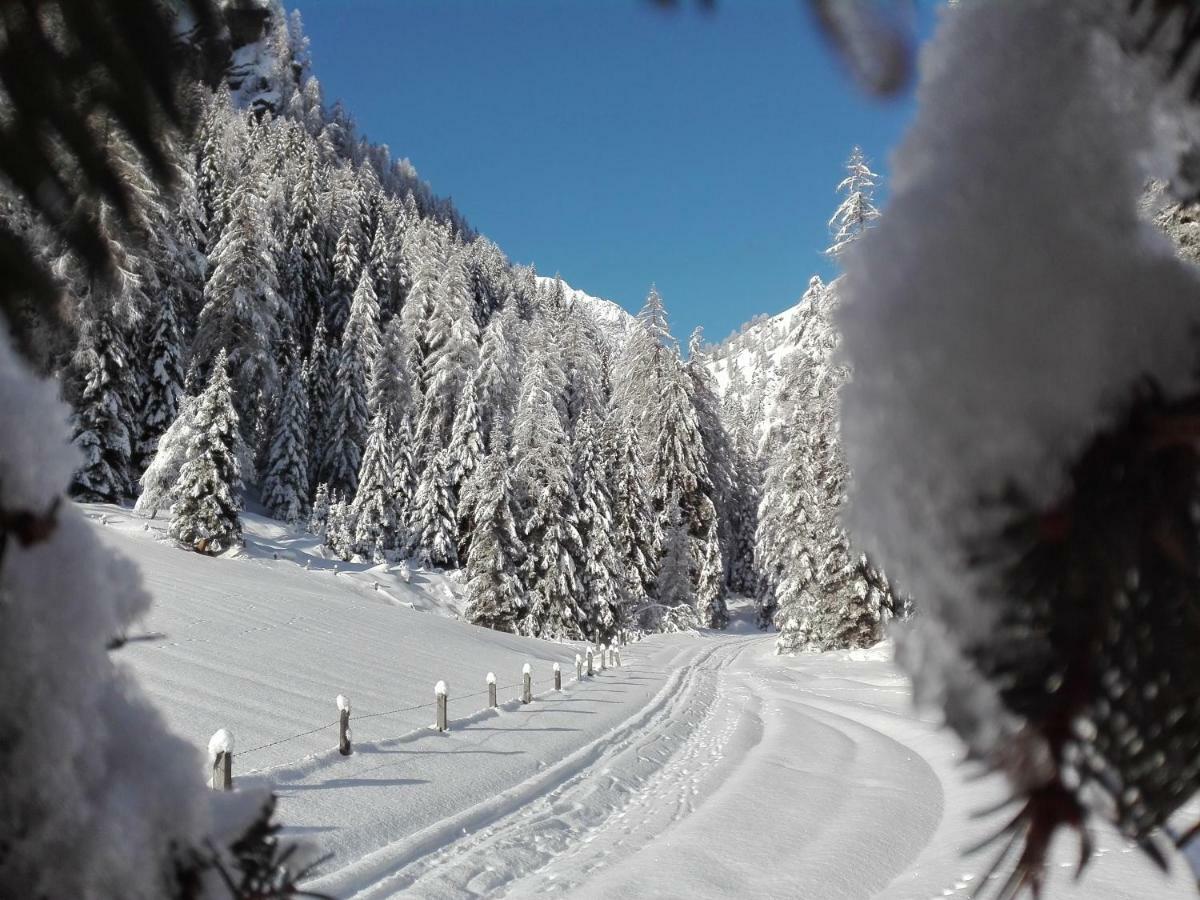 Assling Bed & Breakfast Dolomiti Bey Haus Pinter المظهر الخارجي الصورة